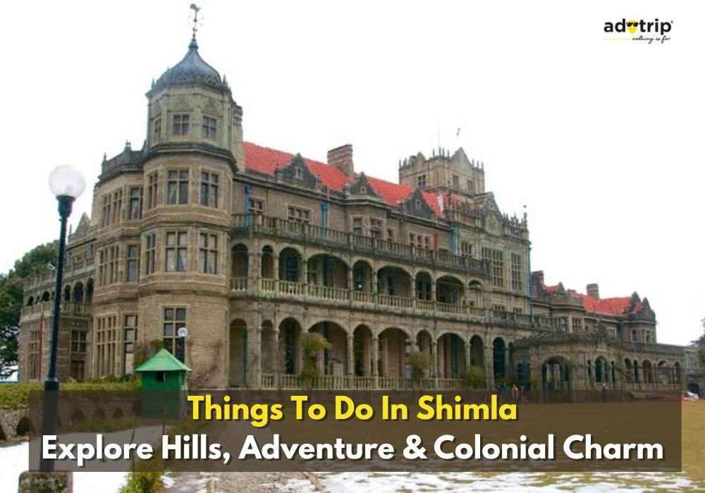 Things To Do In Shimla